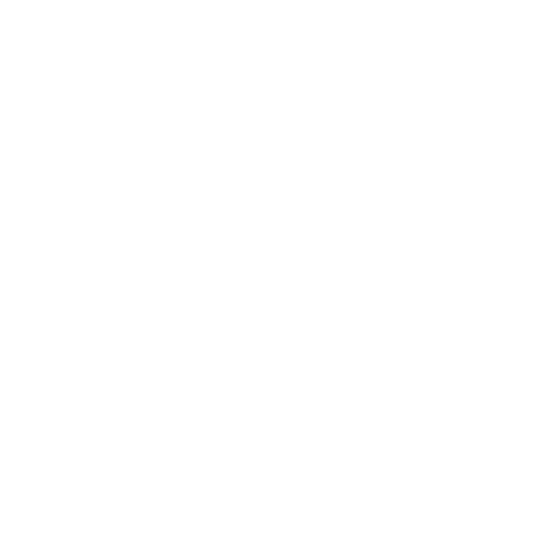 LSFF Official Selection 2017